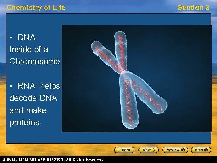 Chemistry of Life • DNA Inside of a Chromosome • RNA helps decode DNA