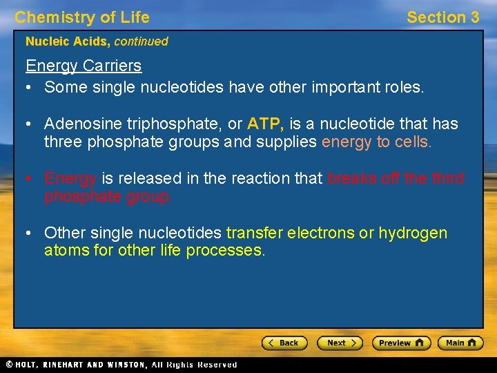 Chemistry of Life Section 3 Nucleic Acids, continued Energy Carriers • Some single nucleotides