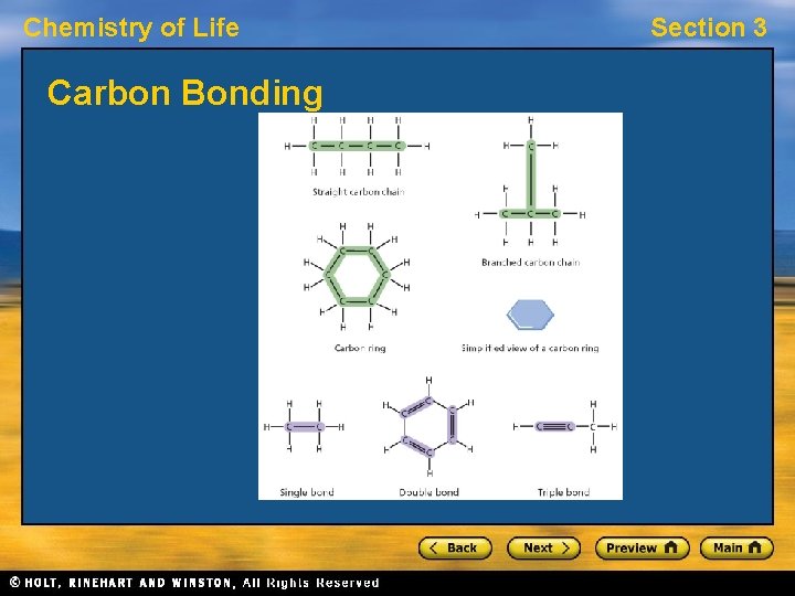 Chemistry of Life Carbon Bonding Section 3 