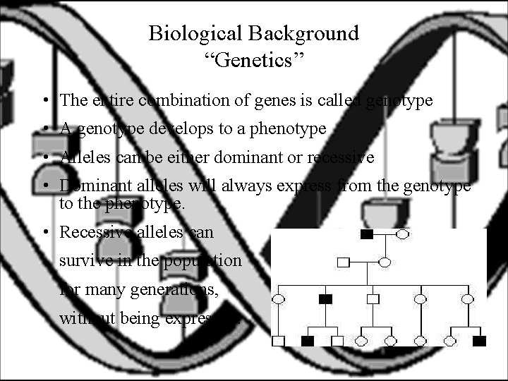 Biological Background “Genetics” • The entire combination of genes is called genotype • A