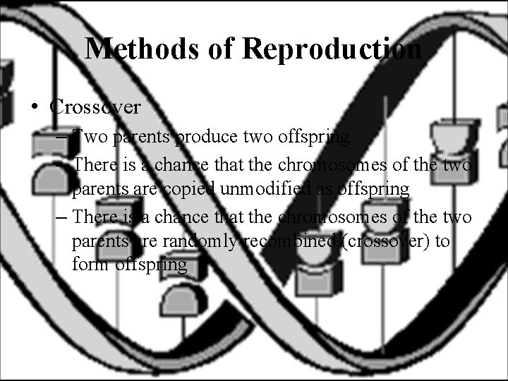 Methods of Reproduction • Crossover – Two parents produce two offspring – There is
