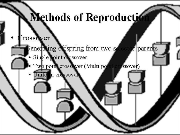 Methods of Reproduction • Crossover – Generating offspring from two selected parents • Single