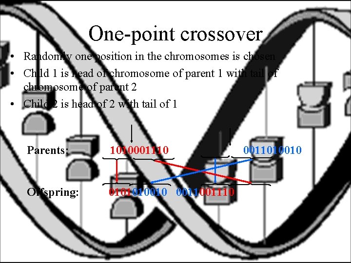 One-point crossover • Randomly one position in the chromosomes is chosen • Child 1