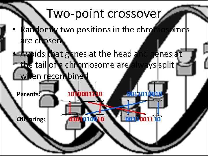Two-point crossover • Randomly two positions in the chromosomes are chosen • Avoids that