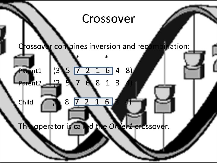 Crossover combines inversion and recombination: * * Parent 1 (3 5 7 2 1