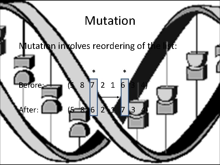 Mutation involves reordering of the list: Before: * * (5 8 7 2 1