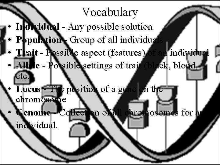 Vocabulary • • Individual - Any possible solution Population - Group of all individuals