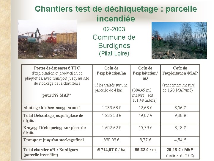 Chantiers test de déchiquetage : parcelle incendiée 02 -2003 Commune de Burdignes (Pilat Loire)