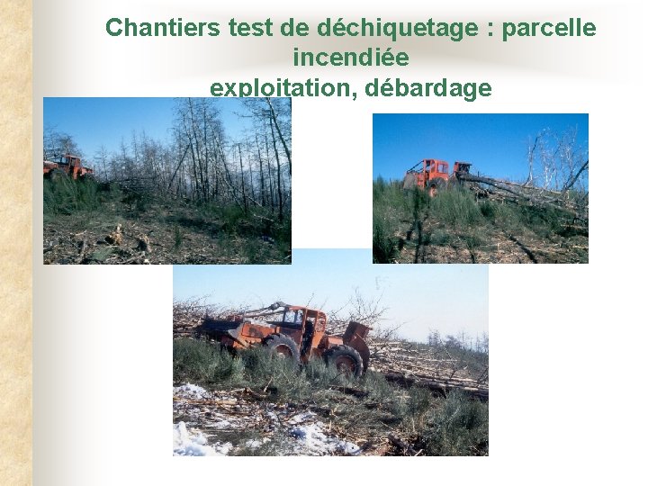 Chantiers test de déchiquetage : parcelle incendiée exploitation, débardage 