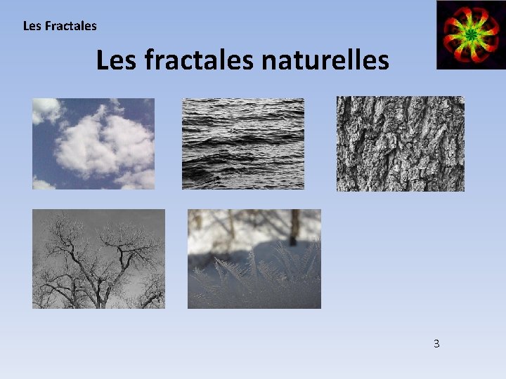 Les Fractales Les fractales naturelles 3 
