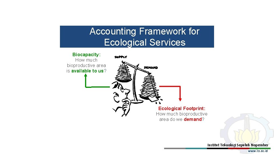 Accounting Framework for Ecological Services Biocapacity: How much bioproductive area is available to us?