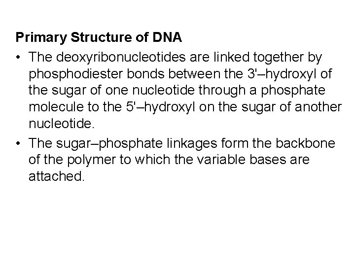 Primary Structure of DNA • The deoxyribonucleotides are linked together by phosphodiester bonds between