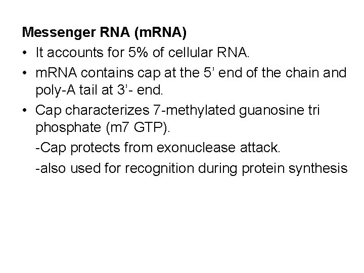 Messenger RNA (m. RNA) • It accounts for 5% of cellular RNA. • m.