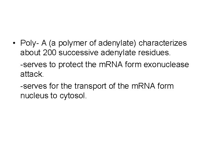  • Poly- A (a polymer of adenylate) characterizes about 200 successive adenylate residues.
