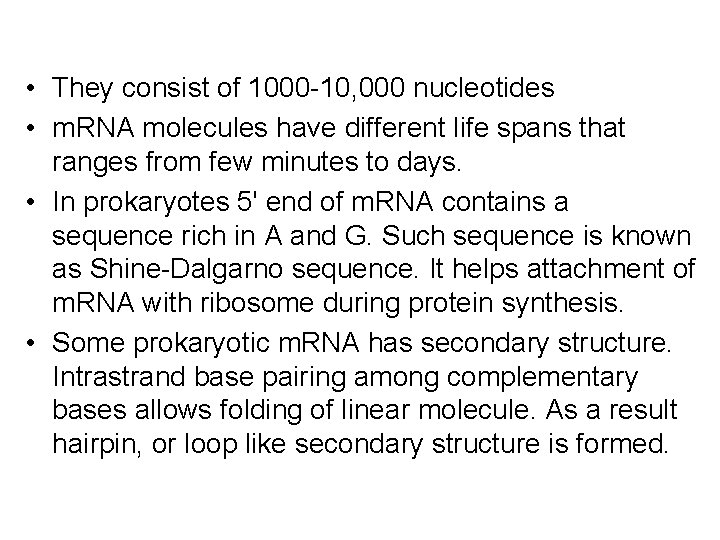  • They consist of 1000 -10, 000 nucleotides • m. RNA molecules have