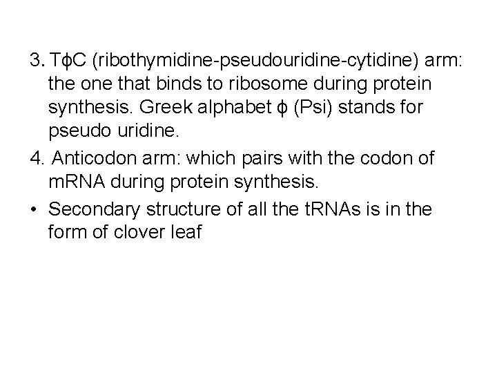 3. TϕC (ribothymidine-pseudouridine-cytidine) arm: the one that binds to ribosome during protein synthesis. Greek