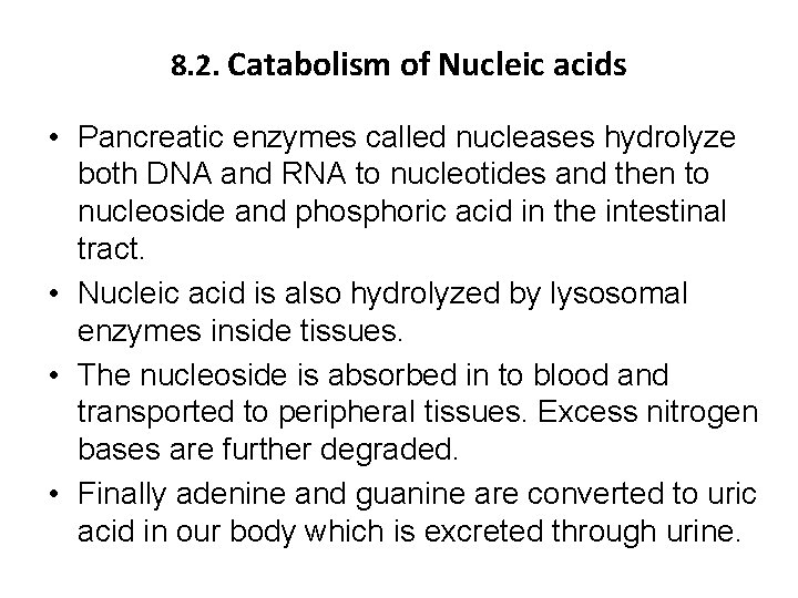 8. 2. Catabolism of Nucleic acids • Pancreatic enzymes called nucleases hydrolyze both DNA