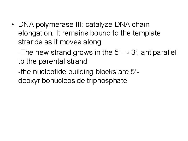  • DNA polymerase III: catalyze DNA chain elongation. It remains bound to the