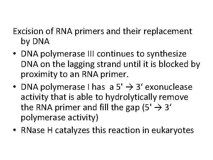 Excision of RNA primers and their replacement by DNA • DNA polymerase III continues
