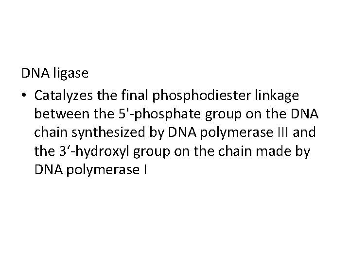 DNA ligase • Catalyzes the final phosphodiester linkage between the 5'-phosphate group on the