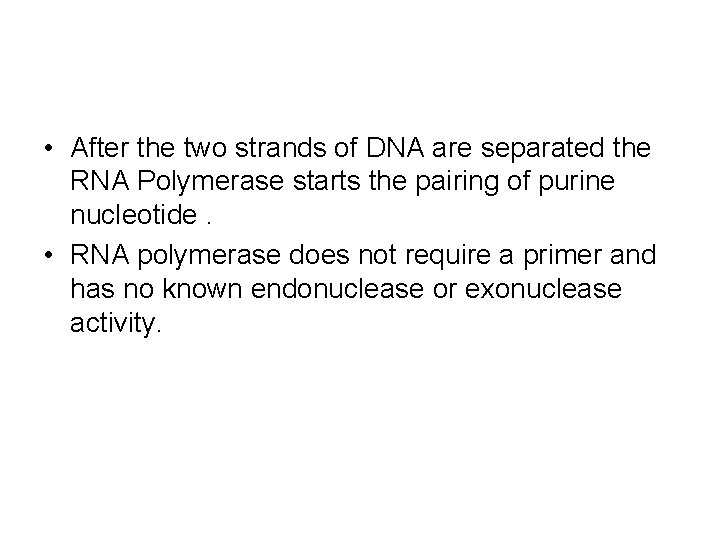  • After the two strands of DNA are separated the RNA Polymerase starts
