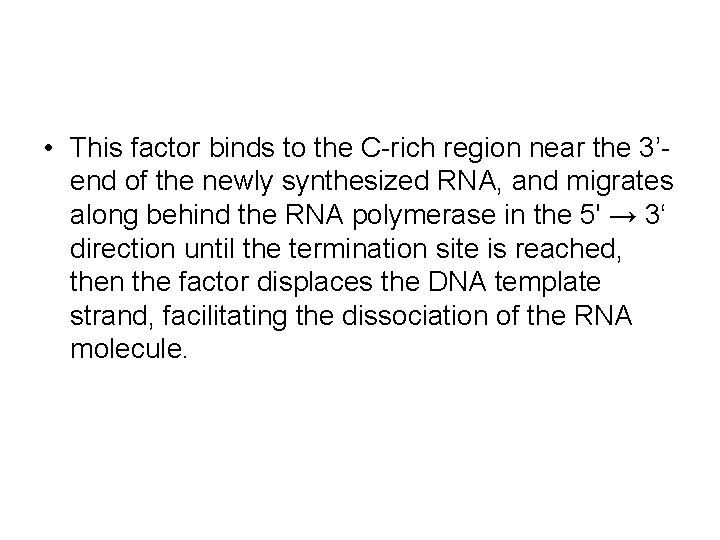  • This factor binds to the C-rich region near the 3’end of the