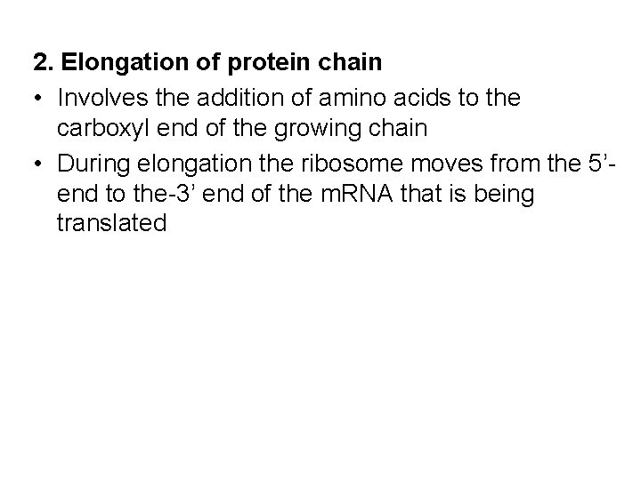 2. Elongation of protein chain • Involves the addition of amino acids to the