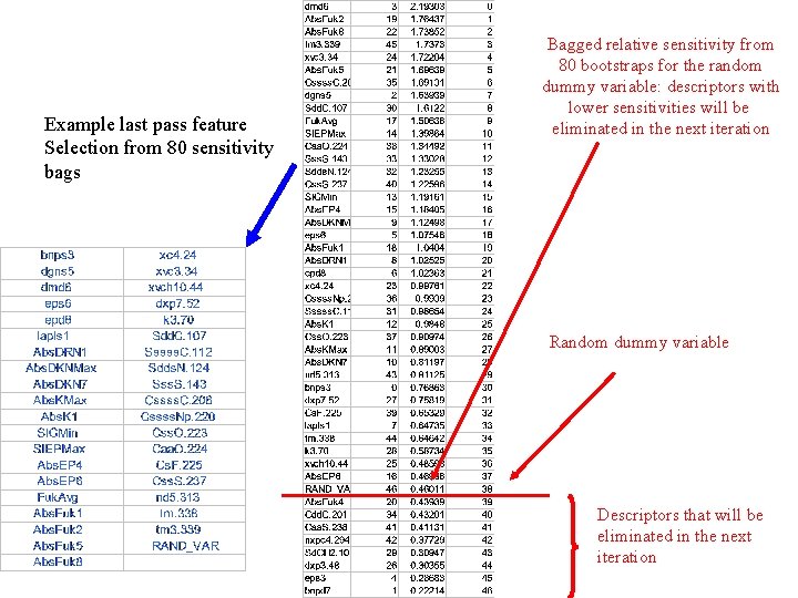 Example last pass feature Selection from 80 sensitivity bags Bagged relative sensitivity from 80