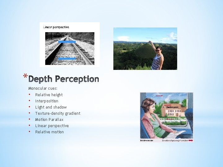 * Monocular cues: • • Relative height Interposition Light and shadow Texture-density gradient Motion