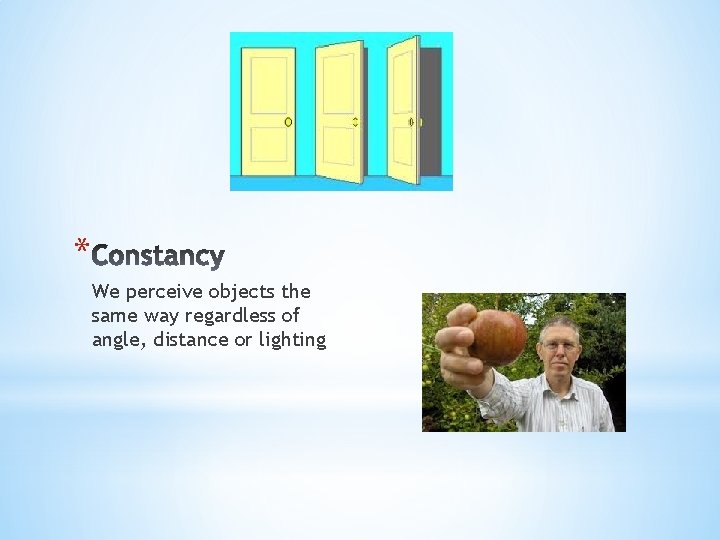 * We perceive objects the same way regardless of angle, distance or lighting 