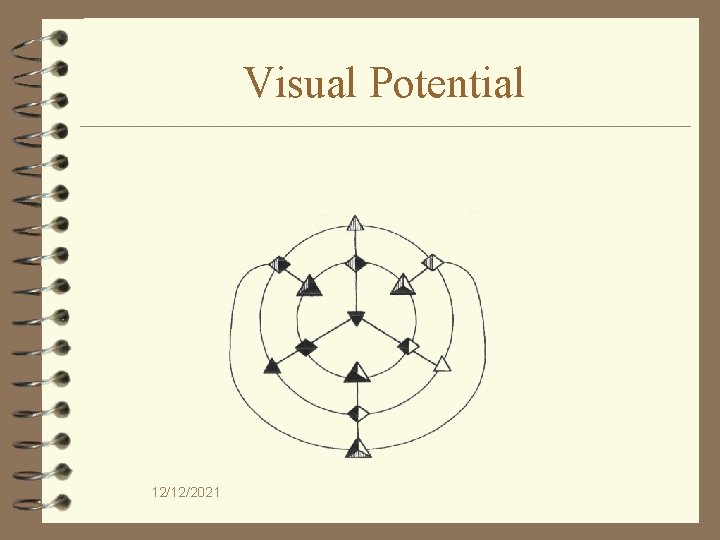 Visual Potential 12/12/2021 
