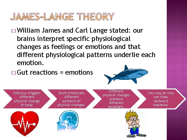 � William James and Carl Lange stated: our brains interpret specific physiological changes as
