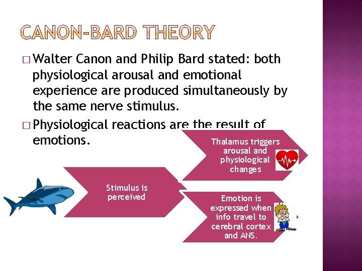 � Walter Canon and Philip Bard stated: both physiological arousal and emotional experience are