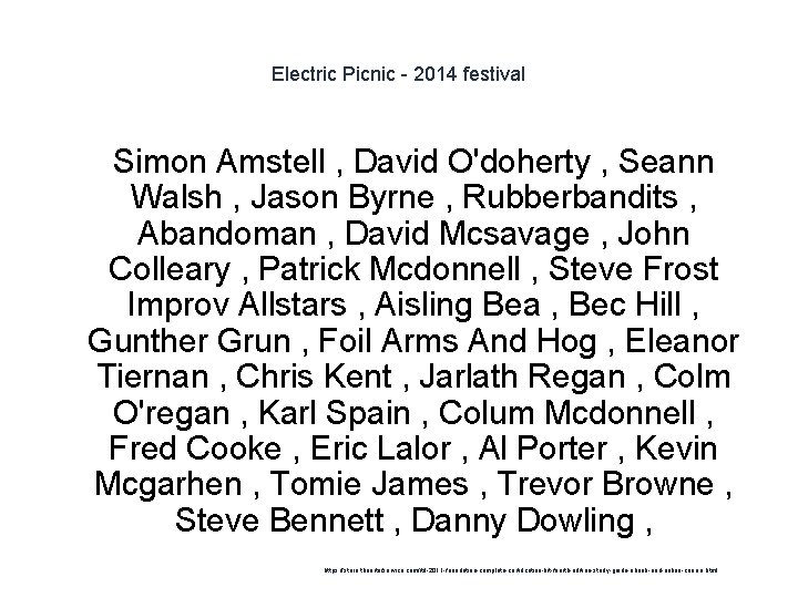 Electric Picnic - 2014 festival Simon Amstell , David O'doherty , Seann Walsh ,