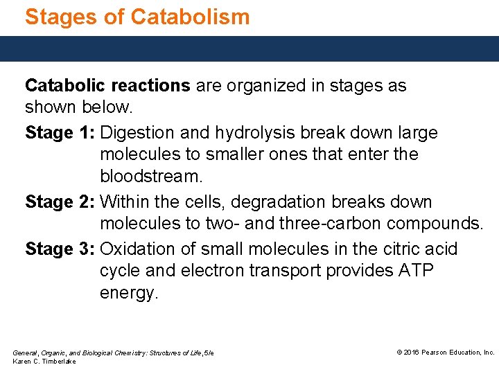 Stages of Catabolism Catabolic reactions are organized in stages as shown below. Stage 1: