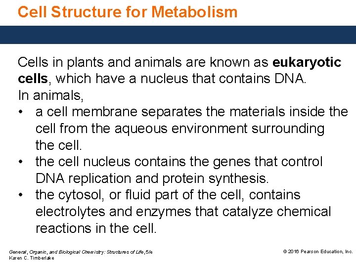 Cell Structure for Metabolism Cells in plants and animals are known as eukaryotic cells,