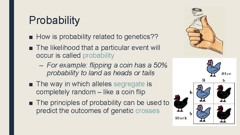 Probability ■ How is probability related to genetics? ? ■ The likelihood that a