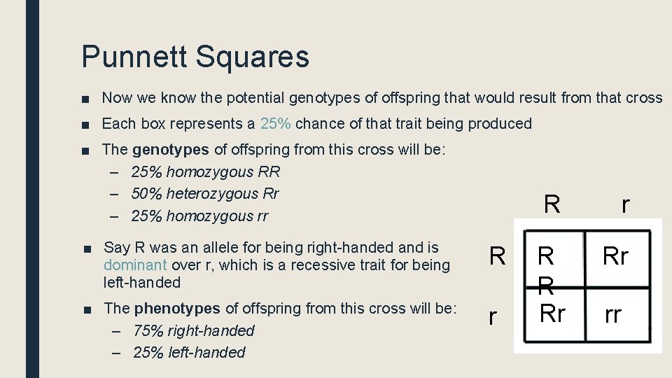Punnett Squares ■ Now we know the potential genotypes of offspring that would result