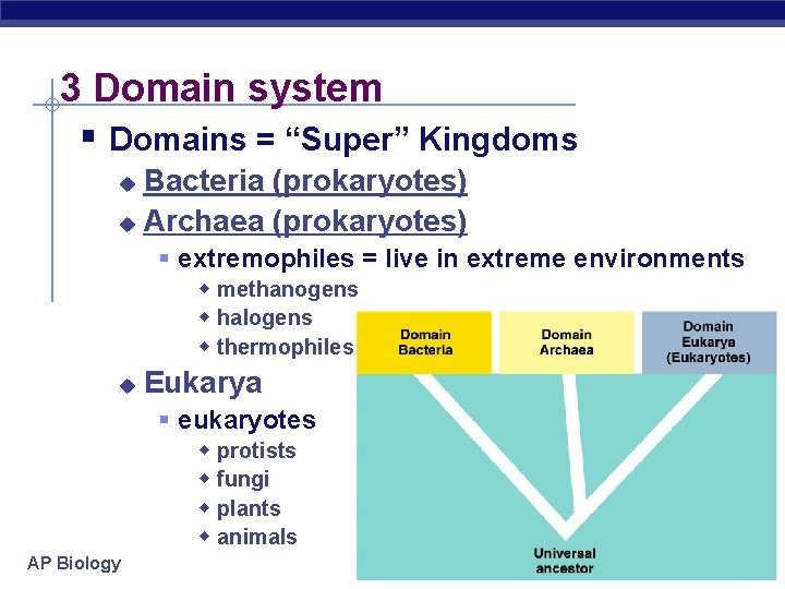 3 Domain system § Domains = “Super” Kingdoms Bacteria (prokaryotes) u Archaea (prokaryotes) u