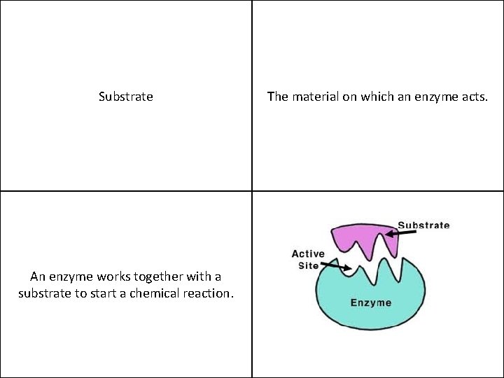 Substrate An enzyme works together with a substrate to start a chemical reaction. The