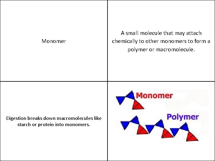 Monomer Digestion breaks down macromolecules like starch or protein into monomers. A small molecule