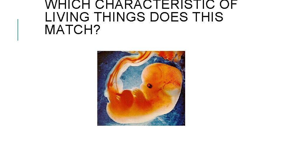 WHICH CHARACTERISTIC OF LIVING THINGS DOES THIS MATCH? 