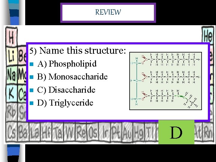 REVIEW 5) Name this structure: n A) Phospholipid n B) Monosaccharide n C) Disaccharide