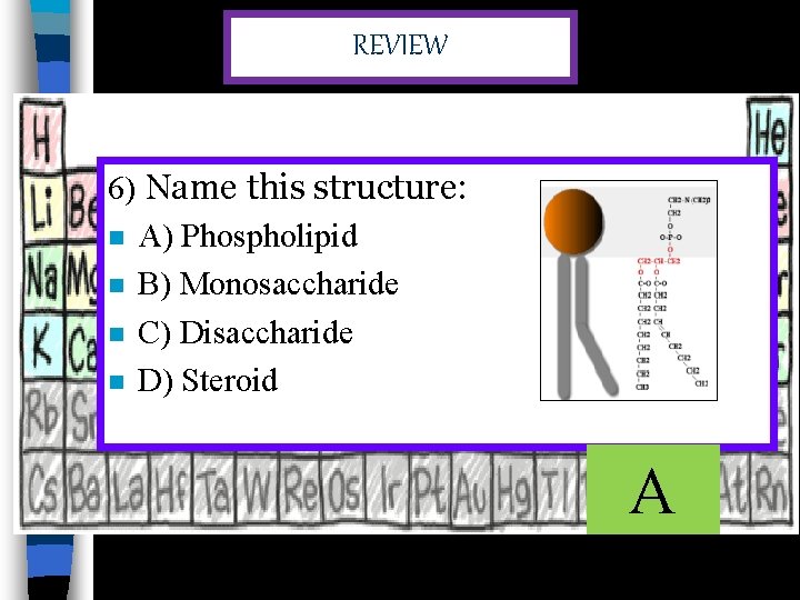REVIEW 6) Name this structure: n A) Phospholipid n B) Monosaccharide n C) Disaccharide