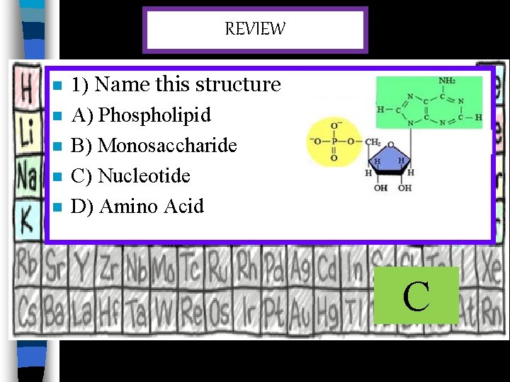 REVIEW n n n 1) Name this structure A) Phospholipid B) Monosaccharide C) Nucleotide