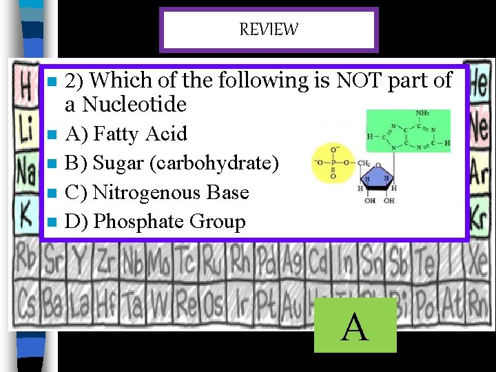 REVIEW n n n 2) Which of the following is NOT part of a