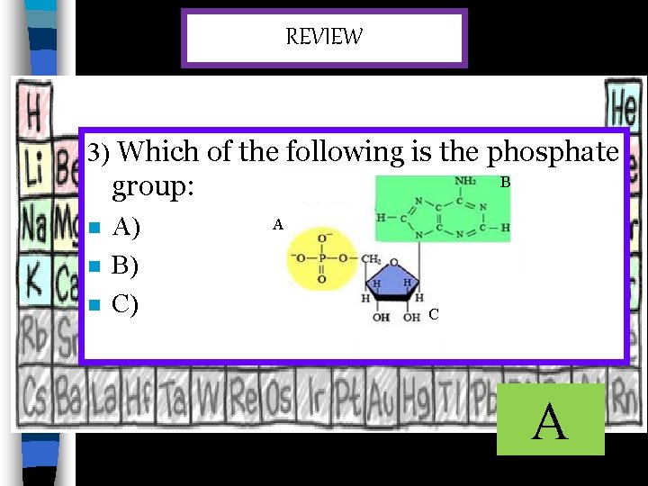 REVIEW 3) Which of the following is the phosphate group: n n n A)