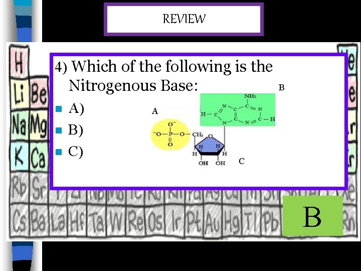 REVIEW 4) Which of the following is the Nitrogenous Base: n n n A)