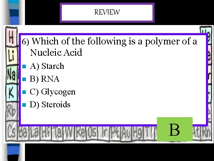 REVIEW 6) Which of the following is a polymer of a Nucleic Acid n