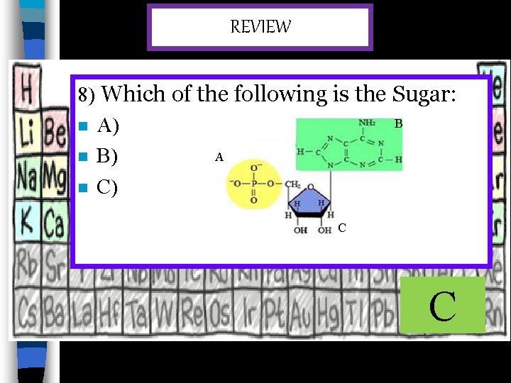 REVIEW 8) Which of the following is the Sugar: B n A) A n